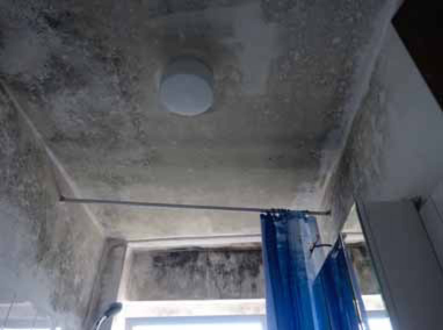 Zweifamilienhaus in Schulstraße 29, 50389 Wesseling - Bild 4