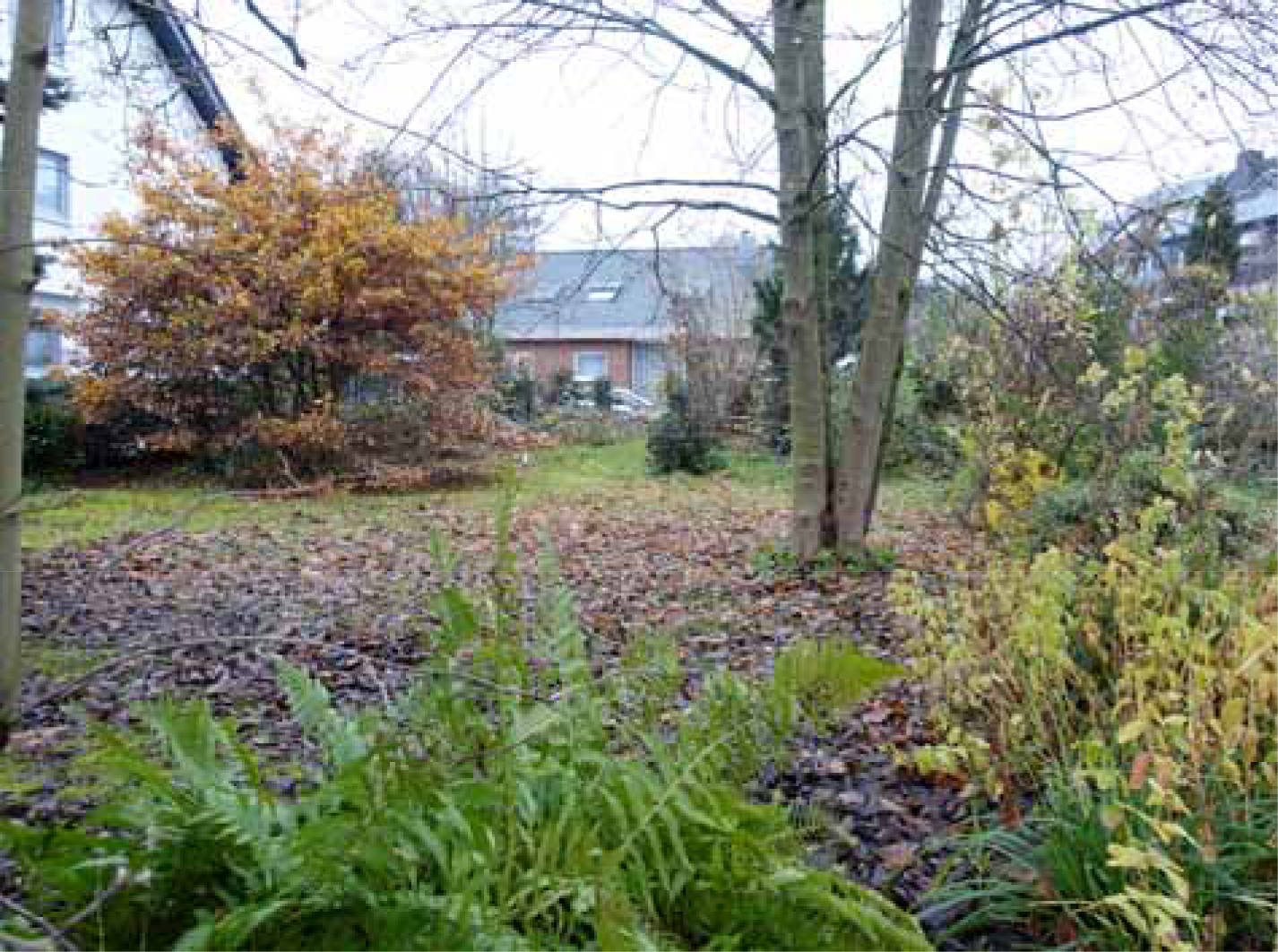 nordrheinwestpfalen 0041K0023-2023 Lohmühle 24, 50321 Brühl, Kierberg