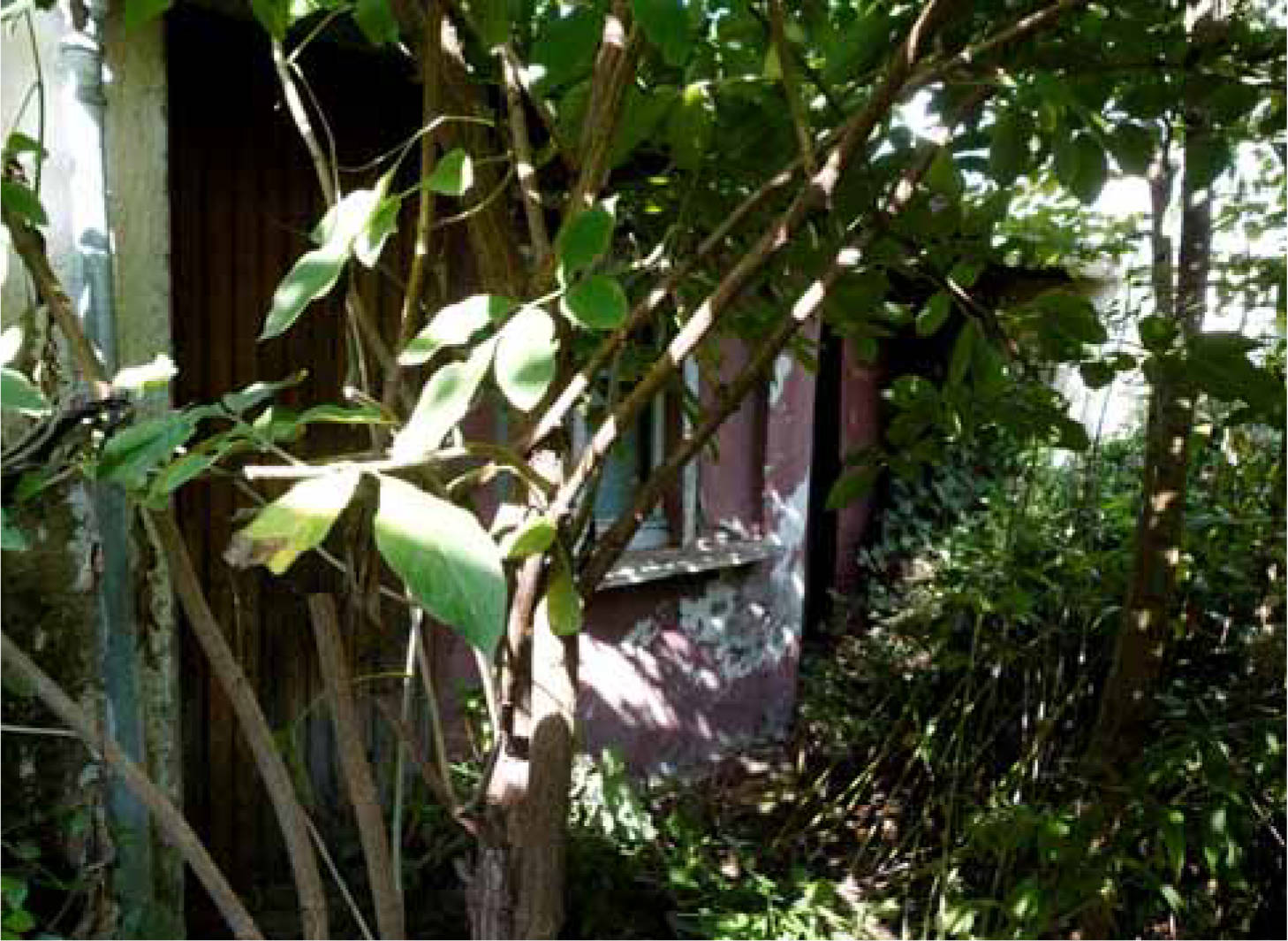 nordrheinwestpfalen 0041 K 0038/2023 Heidestraße 5, 5a, 50354 Hürth 17