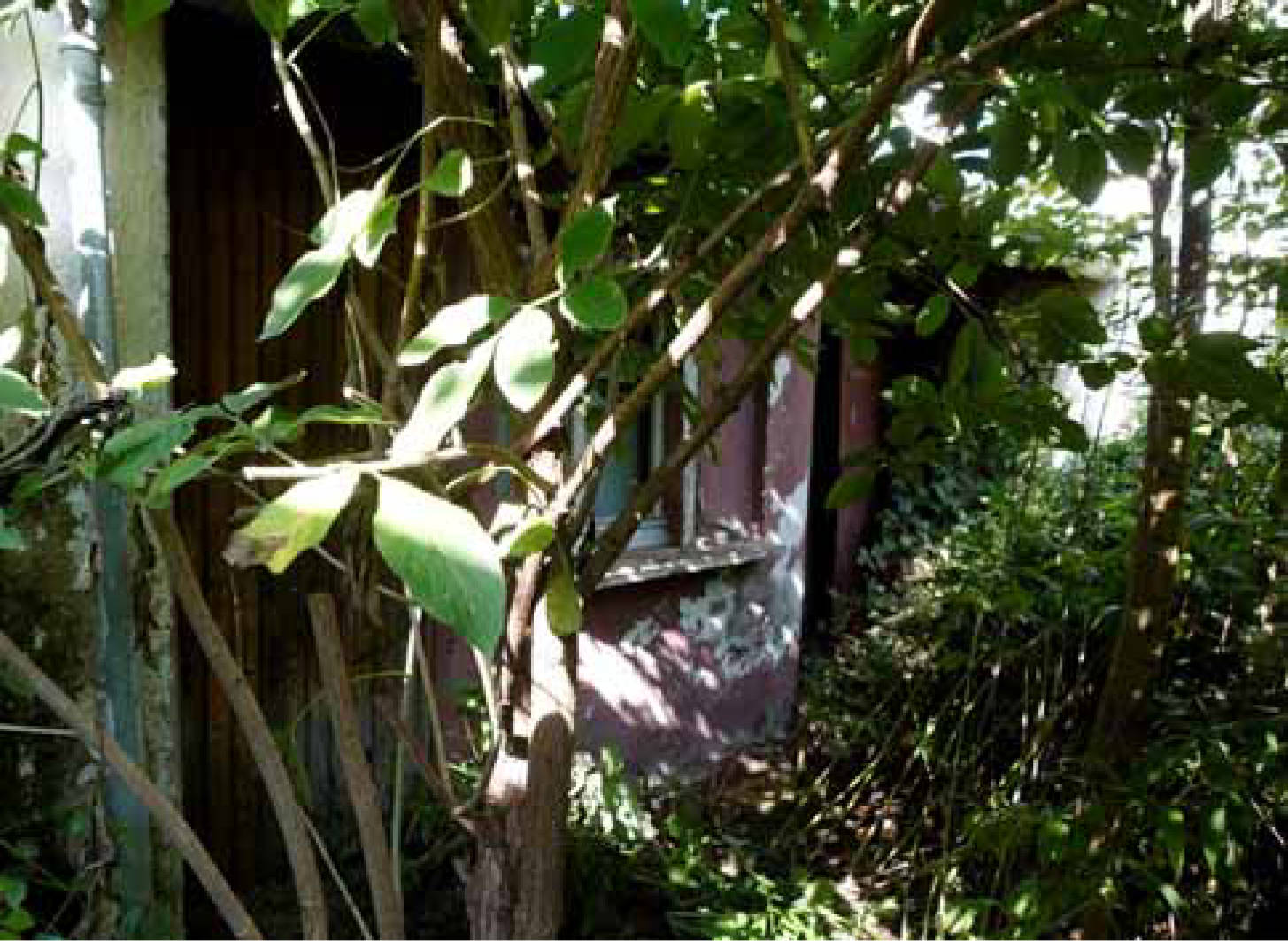 unbebautes Grundstück, Einfamilienhaus, teilweise bebaut mit Einfamlienhaus in Heidestraße 5, 5a, 50354 Hürth - Bild 2