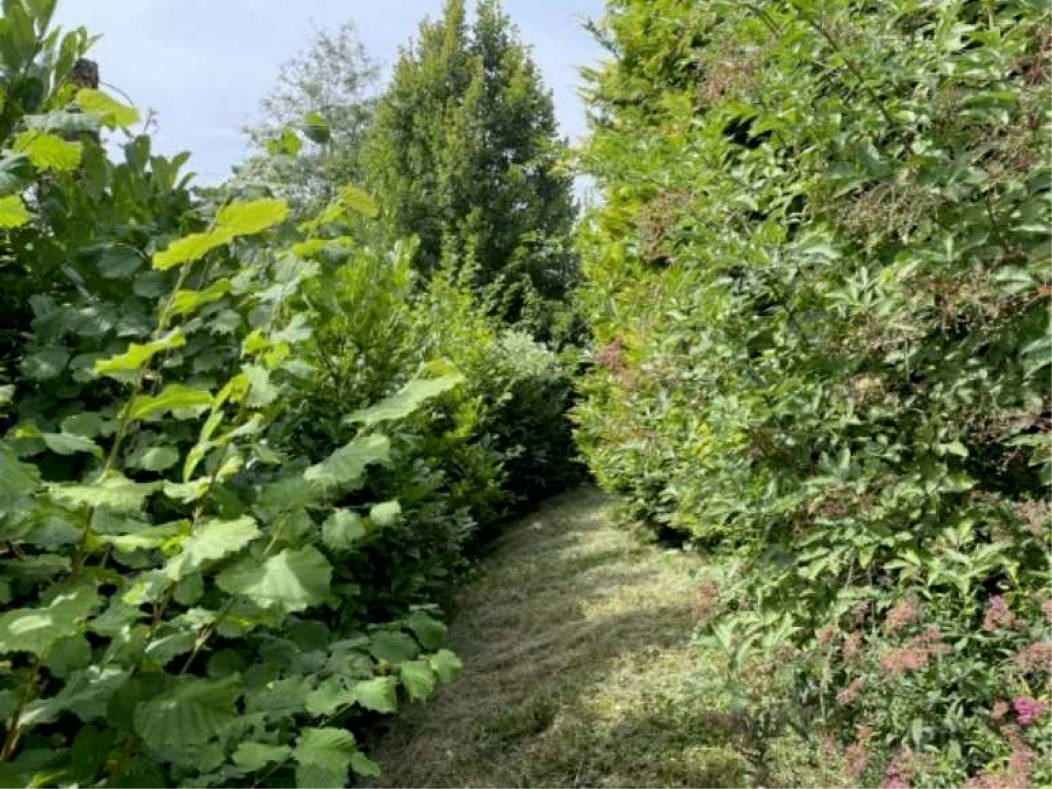 nordrheinwestpfalen 0042 K 0009/2024 Moltkestraße 2 A, 53819 Neunkirchen-Seelscheid, Neunkirchen 24