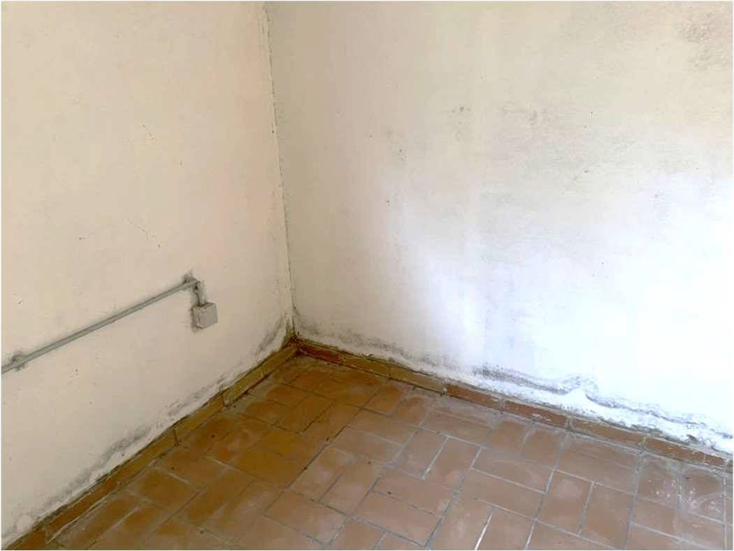 nordrheinwestpfalen 0042 K 0009/2024 Moltkestraße 2 A, 53819 Neunkirchen-Seelscheid, Neunkirchen 23