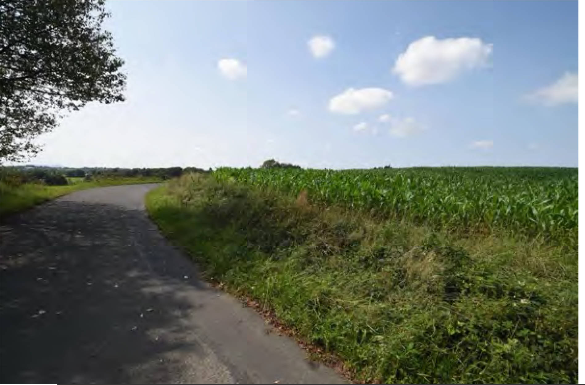 nordrheinwestpfalen 0042K0012-2023 Zu den Birken 42, 53819 Neunkirchen-Seelscheid, Birken
