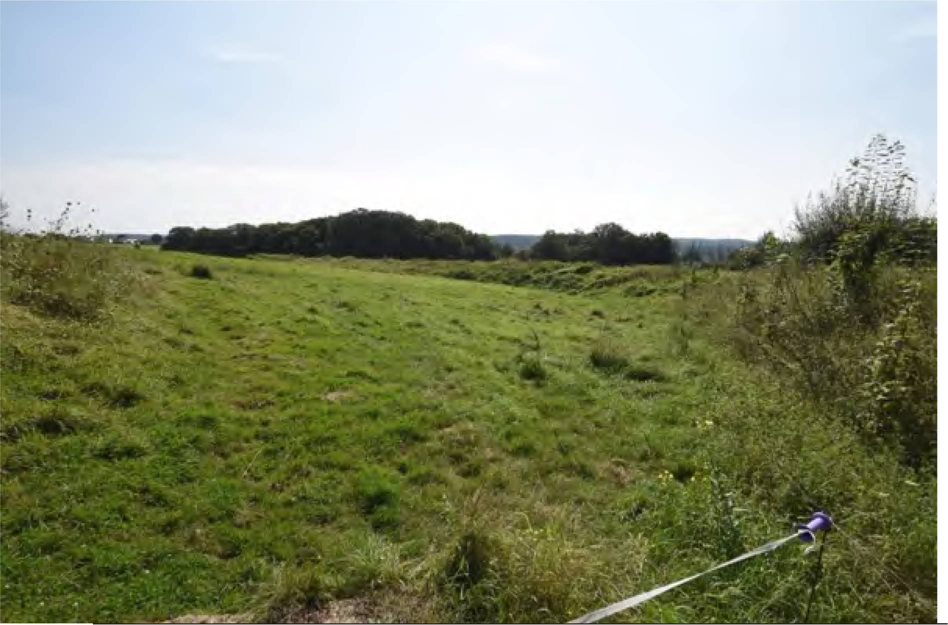nordrheinwestpfalen 0042K0012-2023 Zu den Birken 42, 53819 Neunkirchen-Seelscheid, Birken
