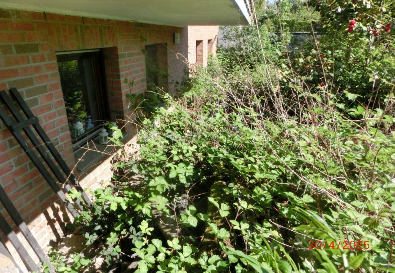 Einfamilienhaus in Meisenbacher Str. 34, 53819 Neunkirchen-Seelscheid, Mohlscheid - Bild 2