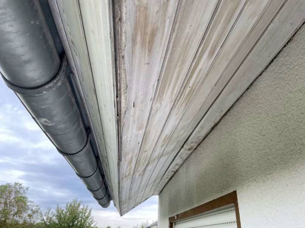 nordrheinwestpfalen 0042K0020-2024 Porzer Straße 173, 53859 Niederkassel, Ranzel