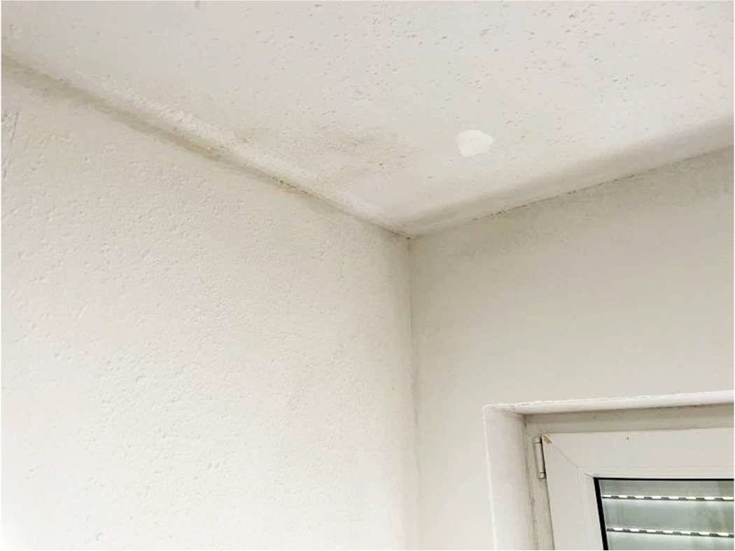 nordrheinwestpfalen 0042K0020-2024 Porzer Straße 173, 53859 Niederkassel, Ranzel