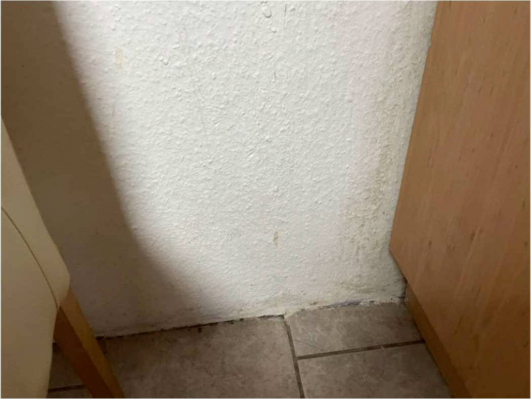 nordrheinwestpfalen 0042K0020-2024 Porzer Straße 173, 53859 Niederkassel, Ranzel