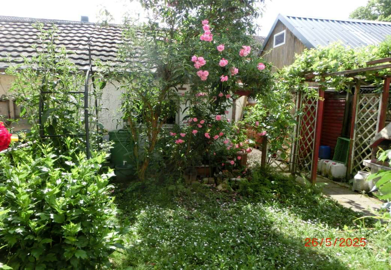 nordrheinwestpfalen 0042 K 0020/2025 Riemenschneiderstraße 7, 53842 Troisdorf, Mitte 8