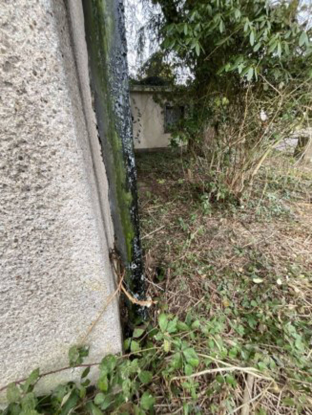 nordrheinwestpfalen 0042 K 0024/2024 Am Jungholzkamp 31, 51399 Burscheid 8