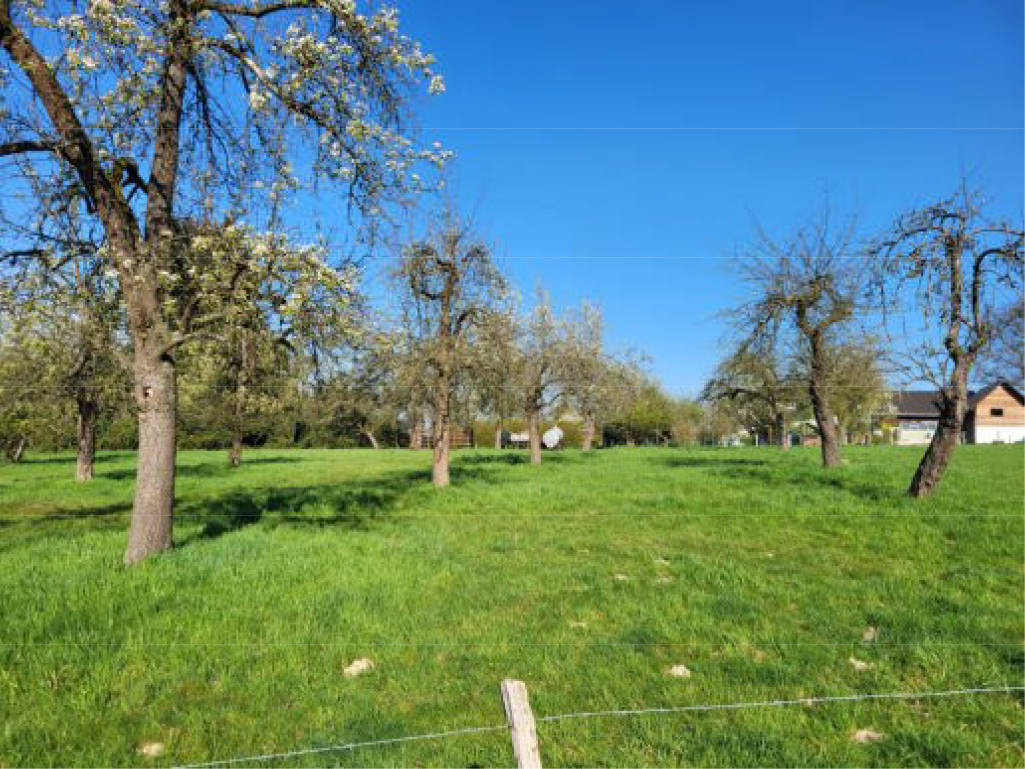 land- und forstwirtschaftlich genutztes Grundstück, land- und forstwirtschaftlich genutztes Grundstück in Blasberg, 51399 Burscheid - Bild 2