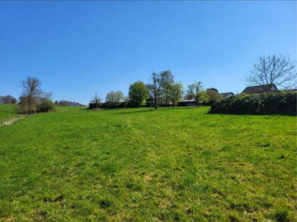 land- und forstwirtschaftlich genutztes Grundstück, land- und forstwirtschaftlich genutztes Grundstück, land- und forstwirtschaftlich genutztes Grundstück in Blasberg, 51399 Burscheid - Bild 4