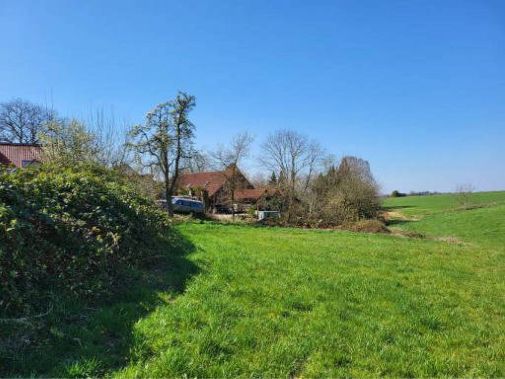 land- und forstwirtschaftlich genutztes Grundstück, land- und forstwirtschaftlich genutztes Grundstück, land- und forstwirtschaftlich genutztes Grundstück in Blasberg, 51399 Burscheid - Bild 5