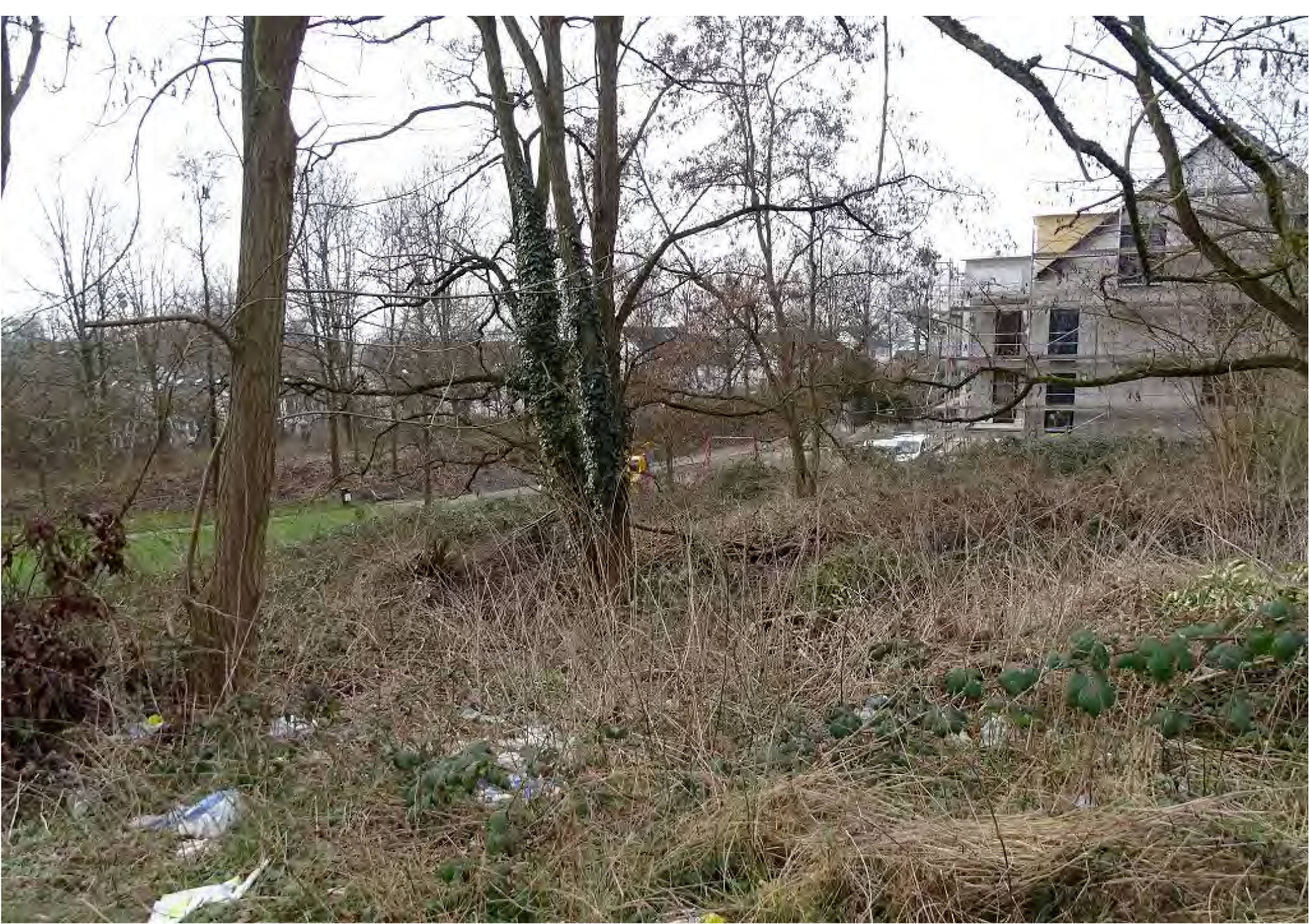 Baugrundstück in Carl-Lauterbach-Straße, 51399 Burscheid, Burscheid