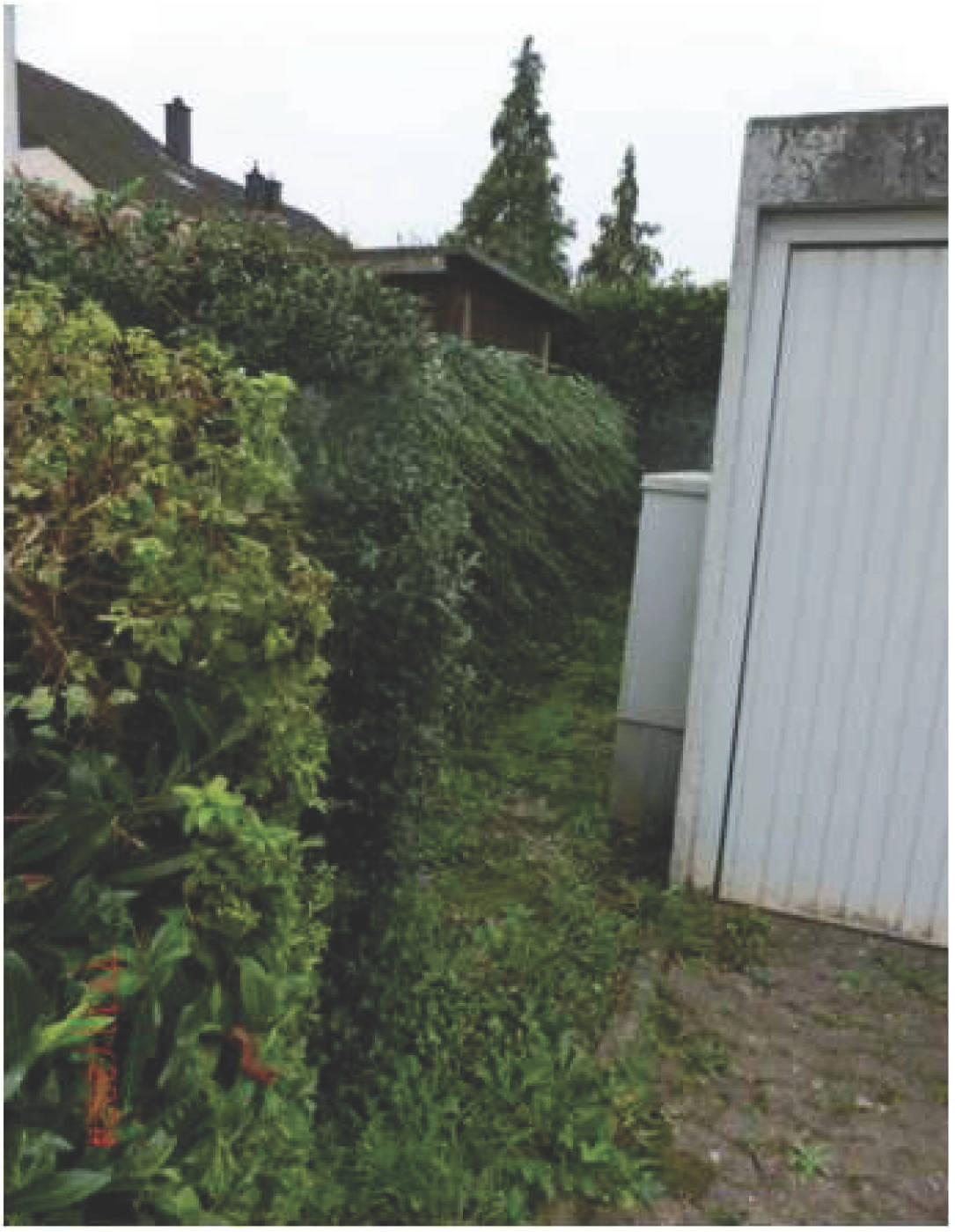 nordrheinwestpfalen 0042 K 0053/2024 Behringstraße 17, 53757 Sankt-Augustin, Menden 20