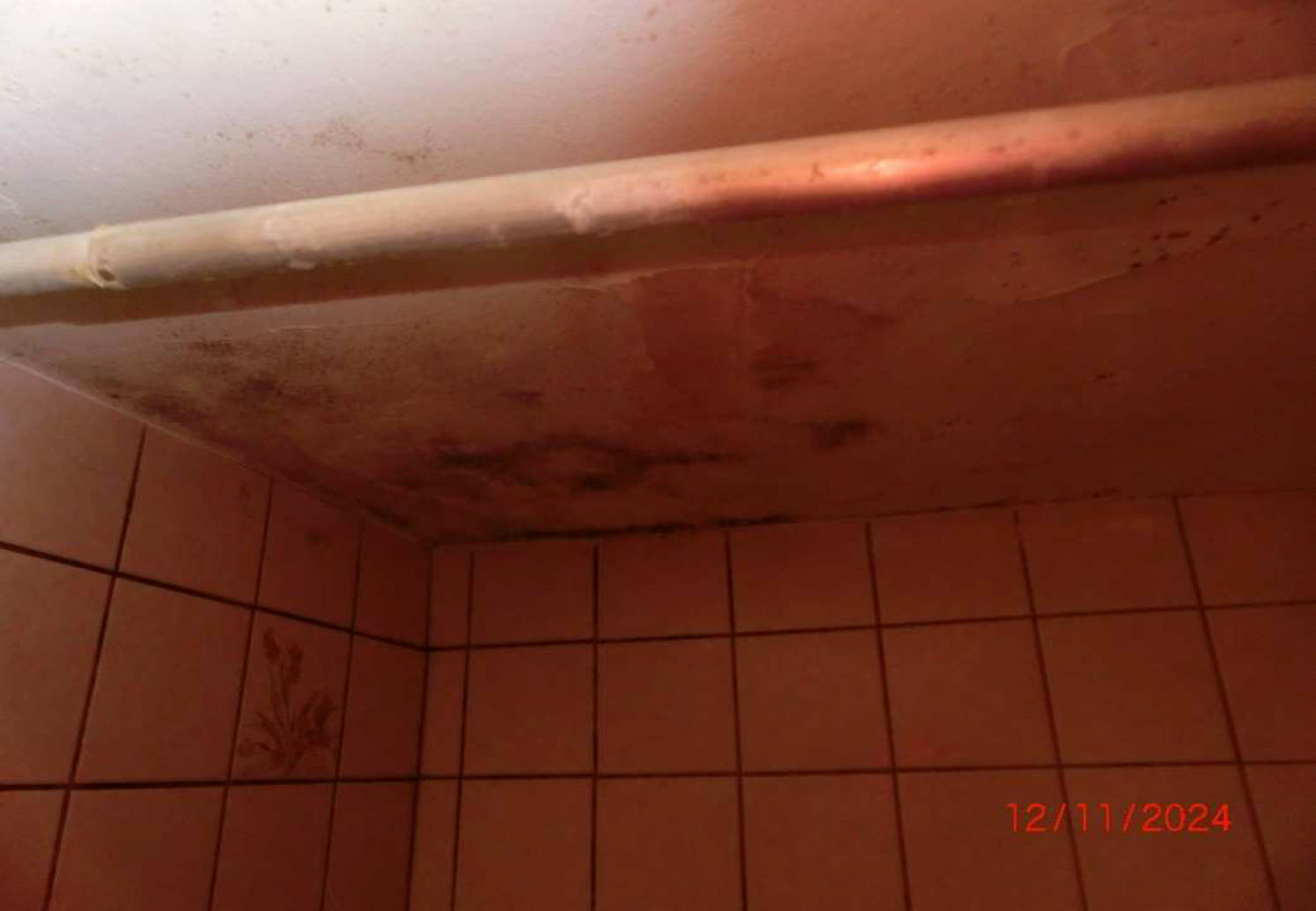 nordrheinwestpfalen 0042 K 0054/2024 Auf der Papagei 106/ 108, 53721 Siegburg, Wolsdorf 9