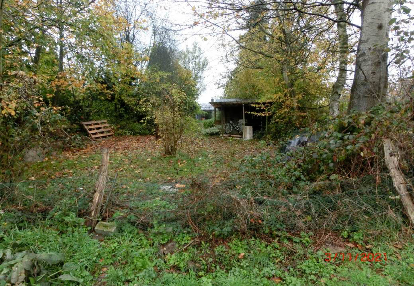 nordrheinwestpfalen 0042K0055-2021 Söntgerath 4, 53804 Much, Kranüchel