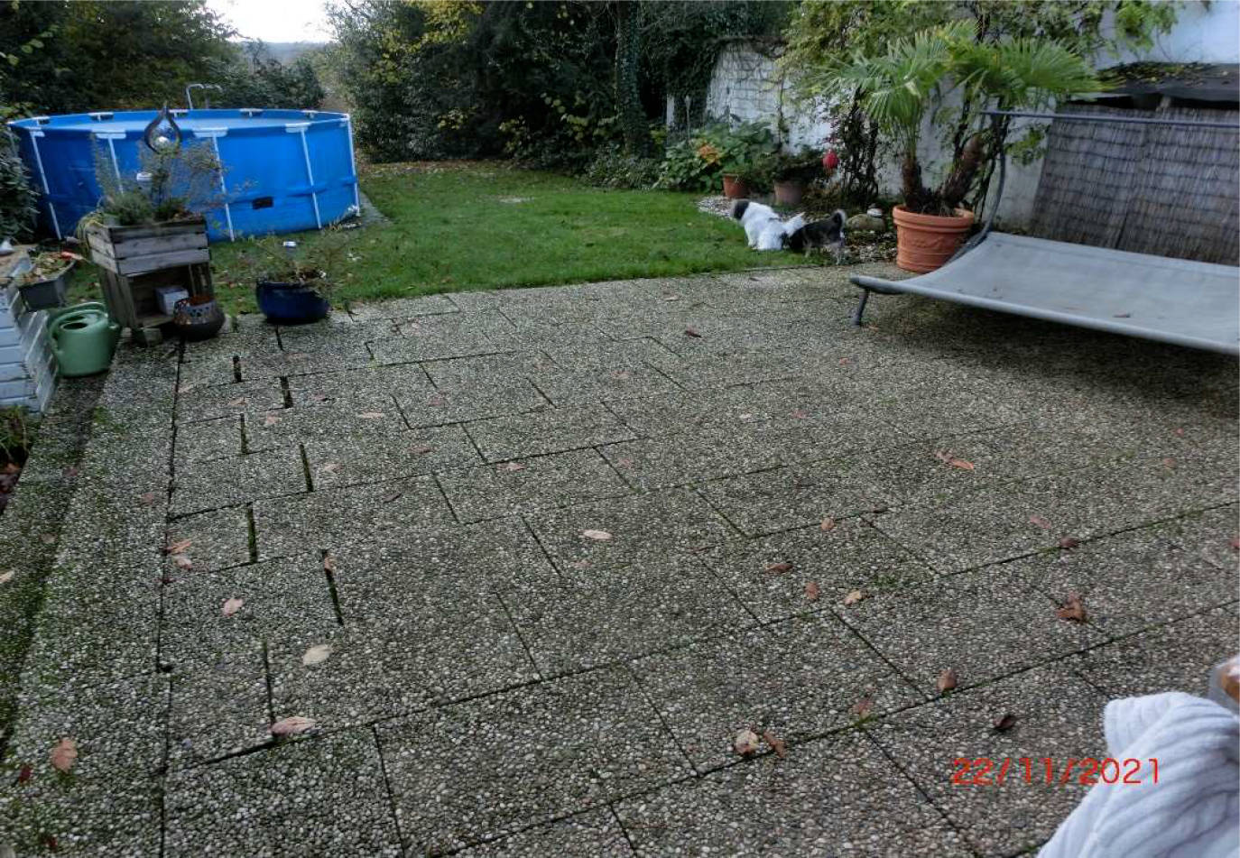nordrheinwestpfalen 0042K0055-2021 Söntgerath 4, 53804 Much, Kranüchel