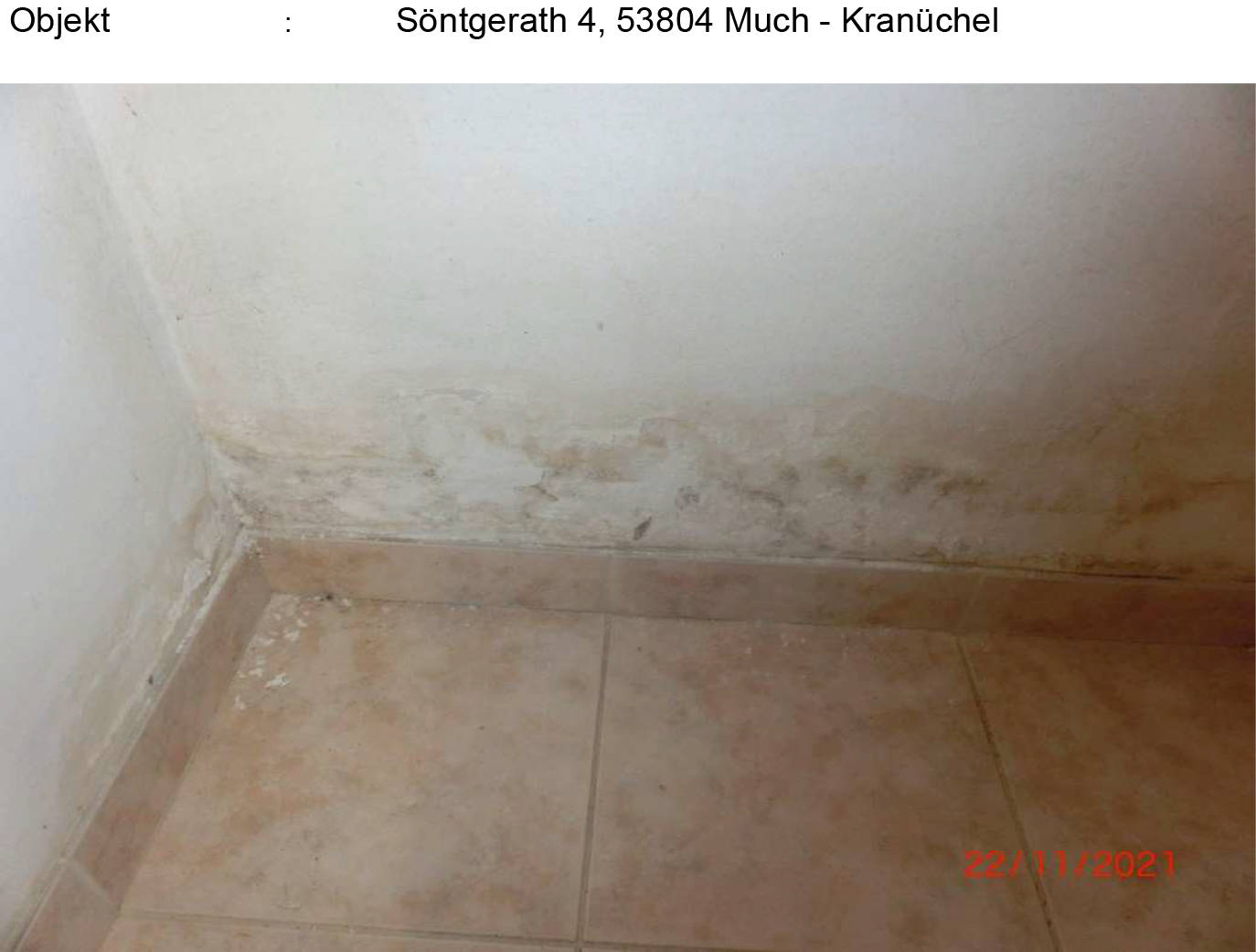 nordrheinwestpfalen 0042K0055-2021 Söntgerath 4, 53804 Much, Kranüchel