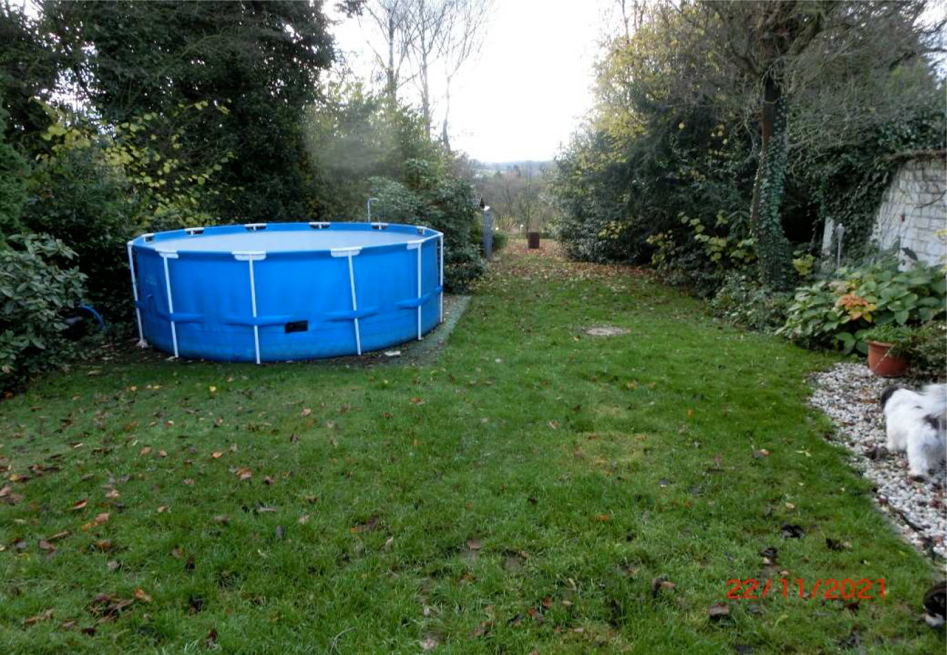 nordrheinwestpfalen 0042K0055-2021 Söntgerath 4, 53804 Much, Kranüchel