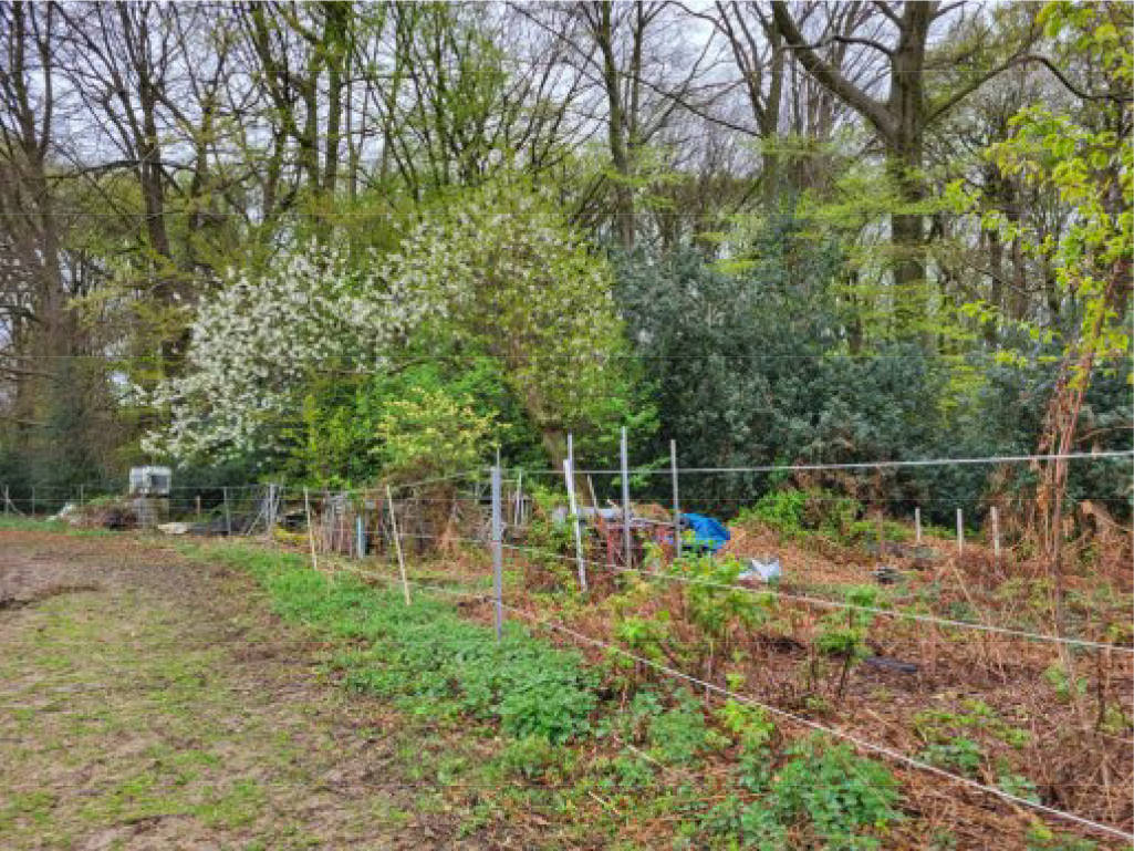 Blasberg, 51399 Burscheid