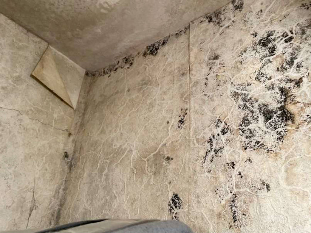 nordrheinwestpfalen 0042 K 0066/2024 Bodelschwinghstraße 10, 53840 Troisdorf, Mitte 28