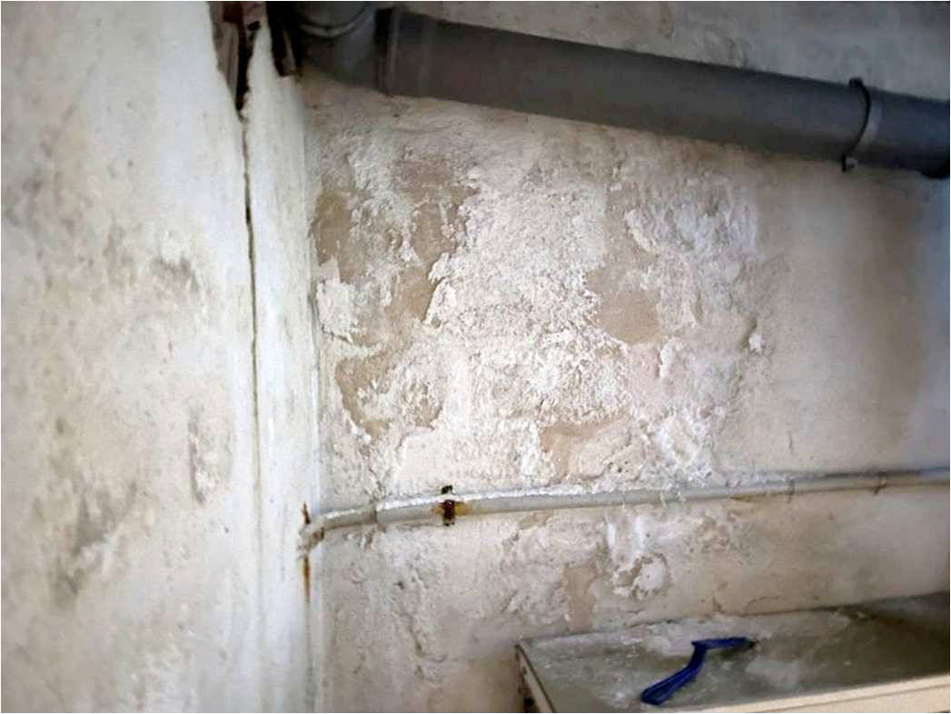 nordrheinwestpfalen 0042 K 0066/2024 Bodelschwinghstraße 10, 53840 Troisdorf, Mitte 14