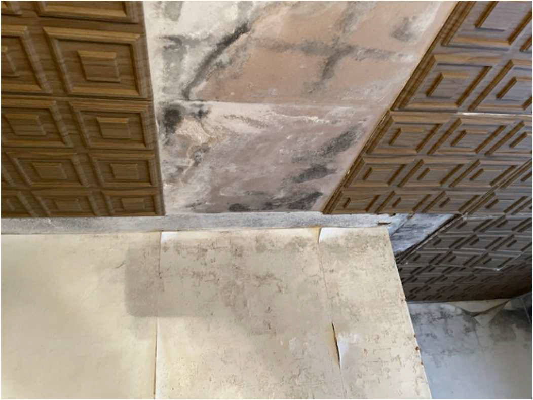 nordrheinwestpfalen 0042 K 0066/2024 Bodelschwinghstraße 10, 53840 Troisdorf, Mitte 16