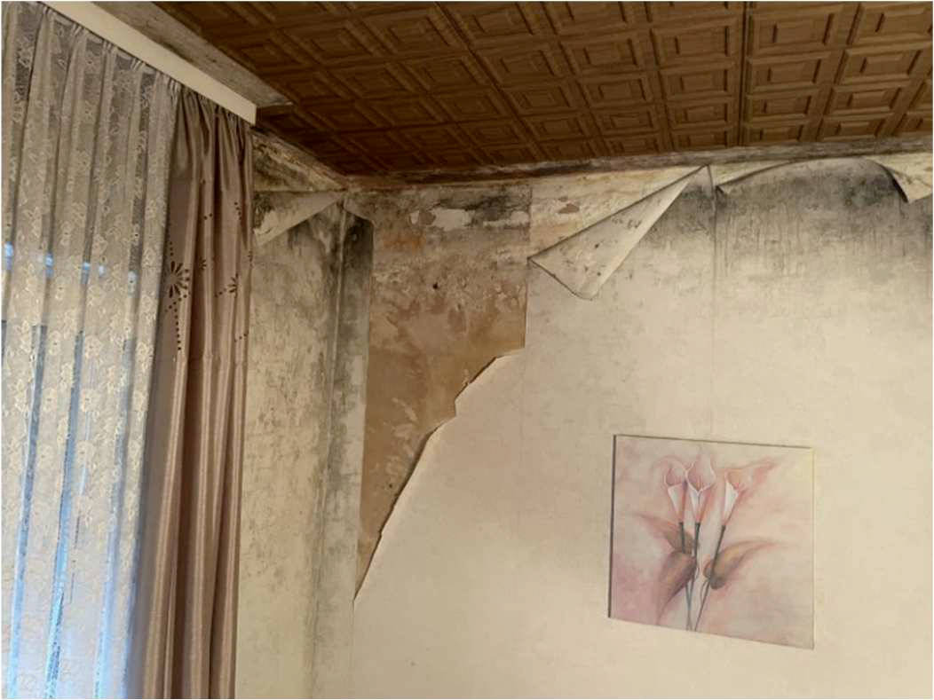 nordrheinwestpfalen 0042 K 0066/2024 Bodelschwinghstraße 10, 53840 Troisdorf, Mitte 21