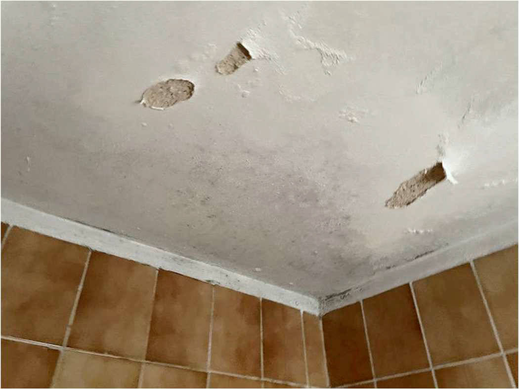 nordrheinwestpfalen 0042 K 0066/2024 Bodelschwinghstraße 10, 53840 Troisdorf, Mitte 16