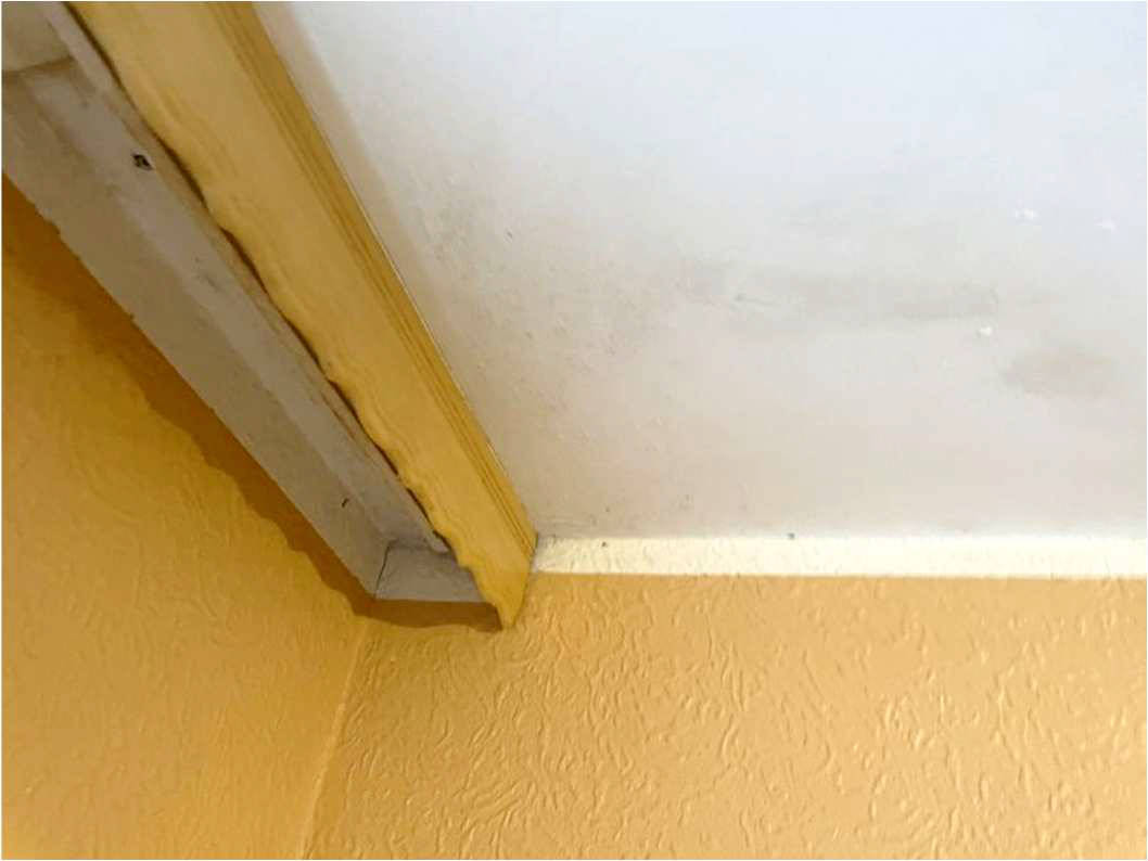 nordrheinwestpfalen 0042K0078-2024 Porzer Straße 173, 53859 Niederkassel, Ranzel
