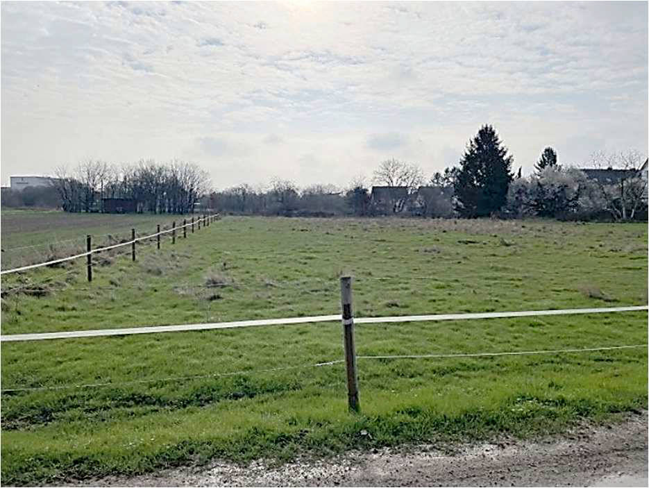 Auf dem Junker, 53859 Niederkassel, Mondorf