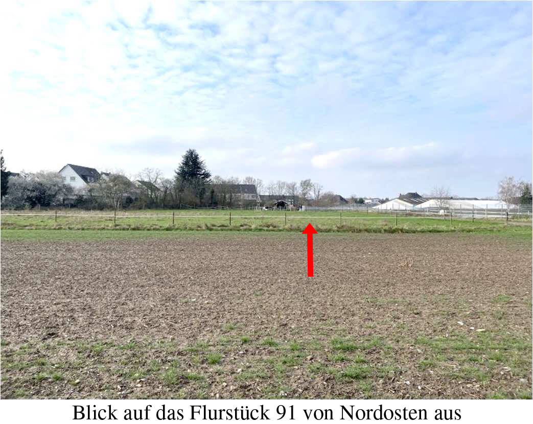 Landwirtschaftliche Nutzfläche (Ausgleichsfläche) in Auf dem Junker, 53859 Niederkassel, Mondorf - Bild 3