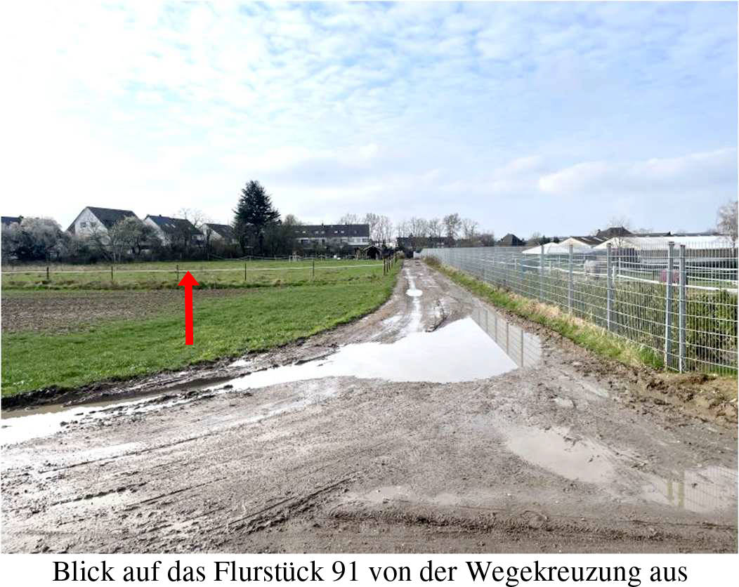 nordrheinwestpfalen 0042K0178/2023 Auf dem Junker, 53859 Niederkassel, Mondorf 6