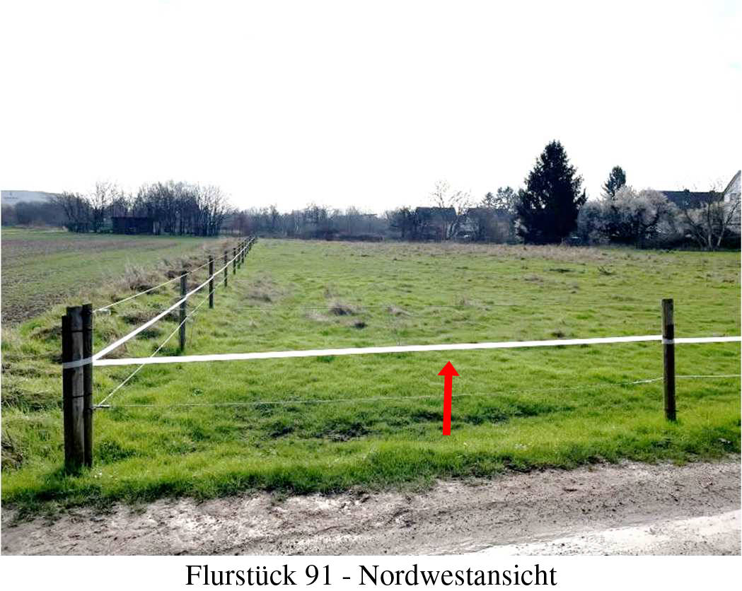 Landwirtschaftliche Nutzfläche (Ausgleichsfläche) in Auf dem Junker, 53859 Niederkassel, Mondorf - Bild 5