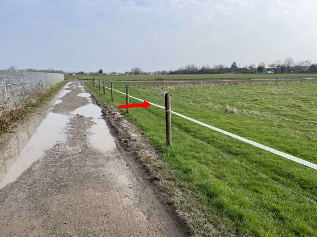 Landwirtschaftliche Nutzfläche (Ausgleichsfläche) in Auf dem Junker, 53859 Niederkassel, Mondorf - Bild 4