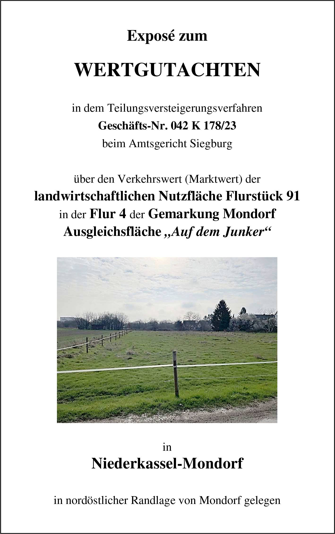 nordrheinwestpfalen 0042 K 0178/2023 Auf dem Junker, 53859 Niederkassel, Mondorf 7