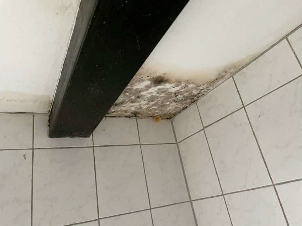 nordrheinwestpfalen 0042 K 0179/2023 Wielpützer Straße 25 b, 53797 Lohmar, Wielpütz 16