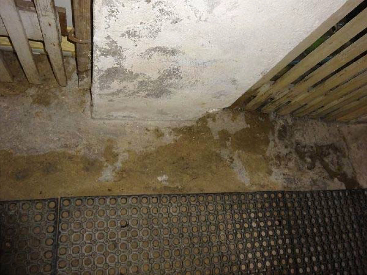 nordrheinwestpfalen 0043K0022-2023 Ritzefeldstr. 8, 52222 Stolberg 16