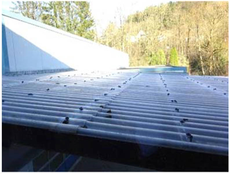 nordrheinwestpfalen 0043 K 0033/2024 Münsterau 168, 52223 Stolberg, Breinig 11