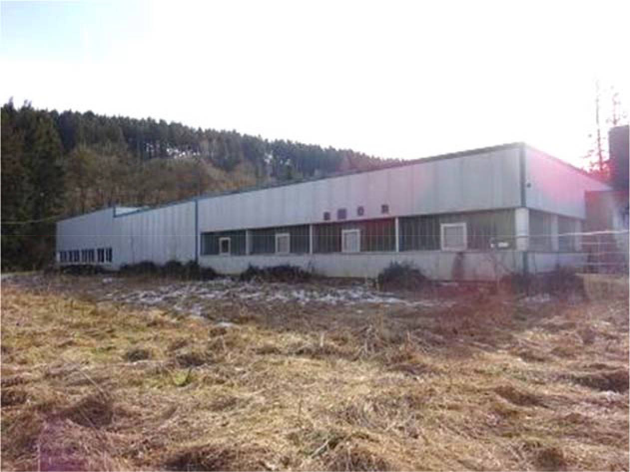 Gewerbegrundstücke in Mischnutzung als Teile einer wirtschaftlichen Einheit in Münsterau 168, 52223 Stolberg, Breinig - Bild 3