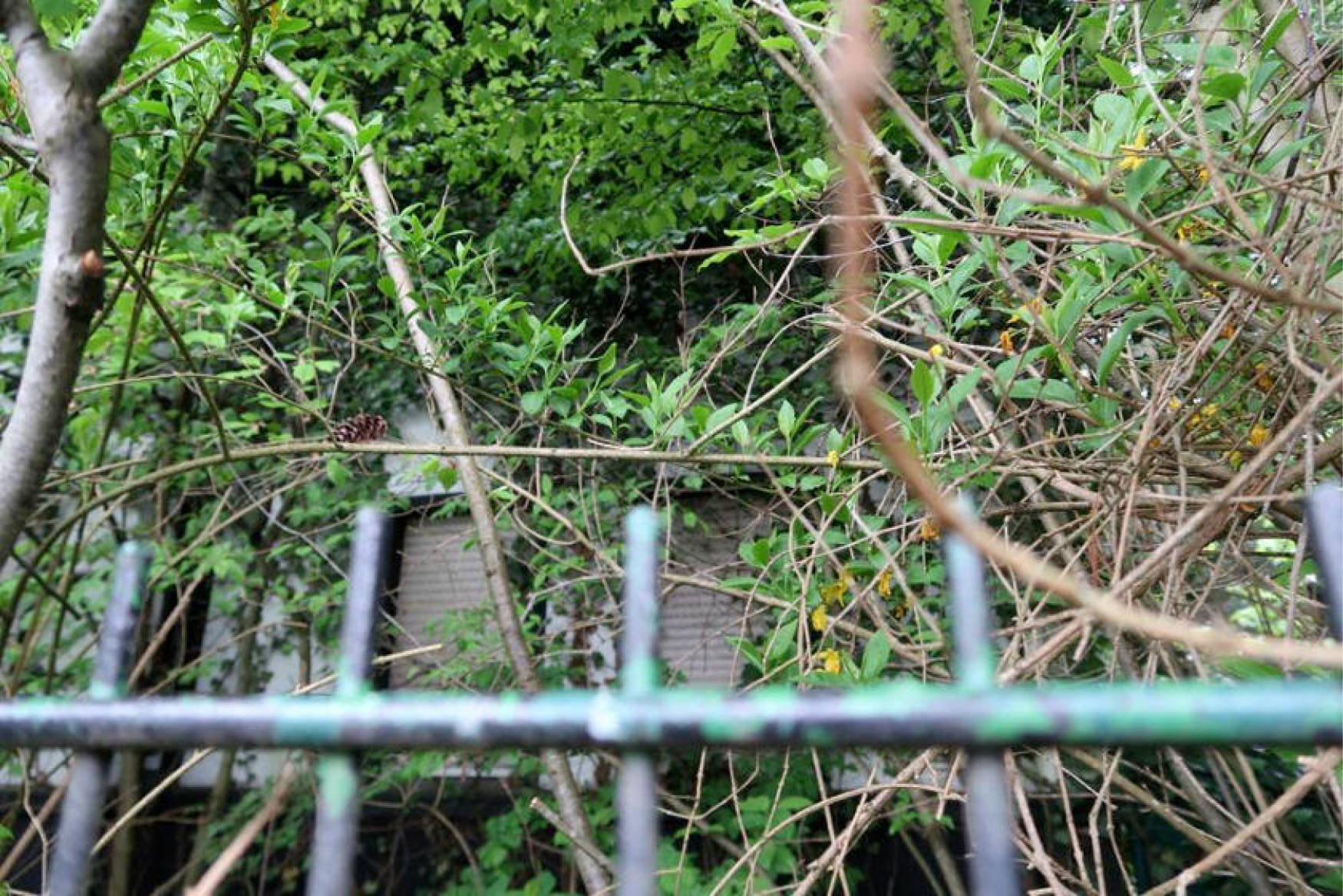 Mehrfamilienhaus in Jahnstraße 29, 58285 Gevelsberg - Bild 2