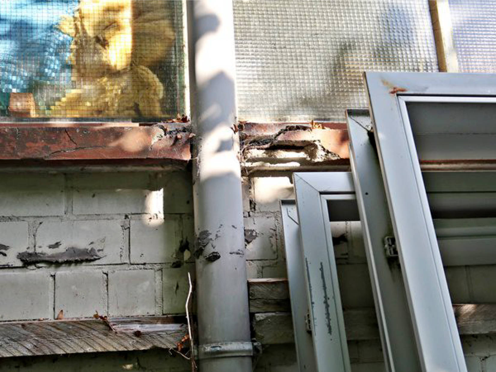 nordrheinwestpfalen 0048bK0020-2023 Kornharpener Str. 122, 44791 Bochum, Harpen