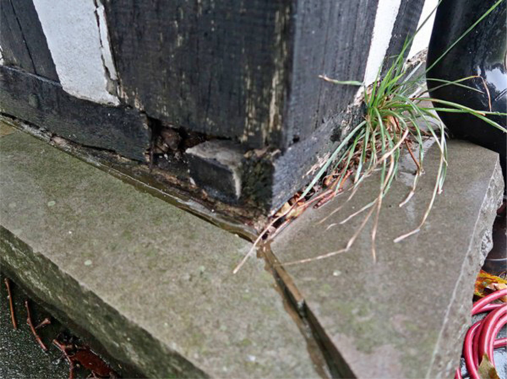 nordrheinwestpfalen 0048 b K 0055/2023 Herrenacker 73, 44867 Bochum, Westenfeld 9