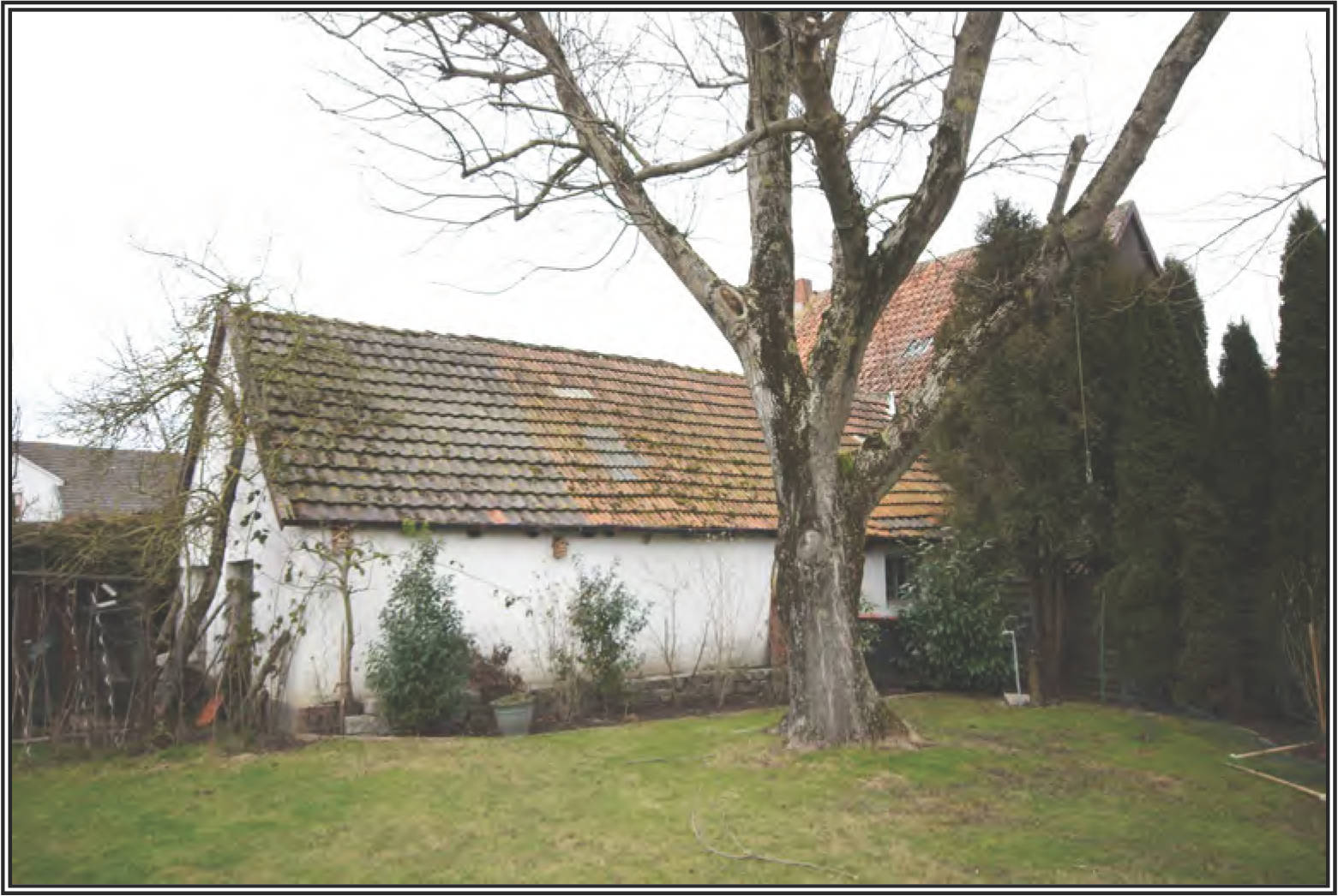 nordrheinwestpfalen 0052K0006-2024 Wilhelmstraße 5, 34434 Borgentreich 6