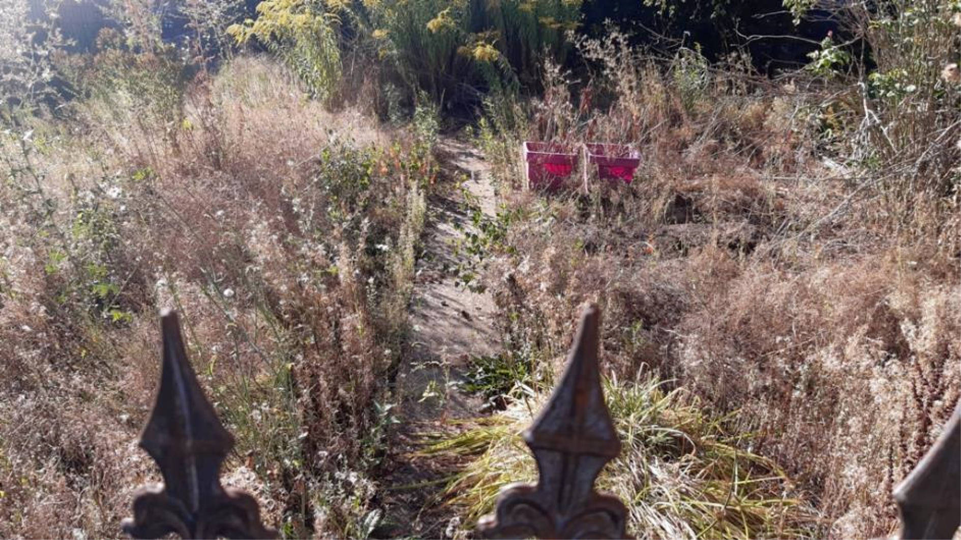 nordrheinwestpfalen 0053 K 0010/2024 Jasminstr. 12, 32457 Porta Westfalica, Lerbeck 19