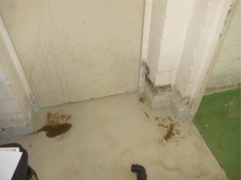 nordrheinwestpfalen 0053K0015-2024 Starenweg 1 a, 32457 Porta Westfalica, Möllbergen
