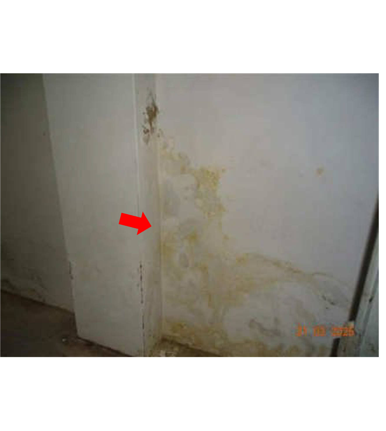 nordrheinwestpfalen 0068 K 0003/2024 Bergische Straße 50, 51766 Engelskirchen 27