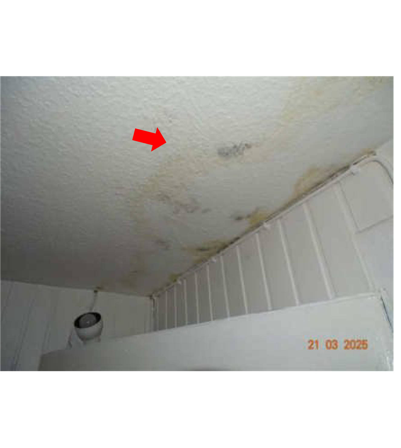 nordrheinwestpfalen 0068 K 0003/2024 Bergische Straße 50, 51766 Engelskirchen 26