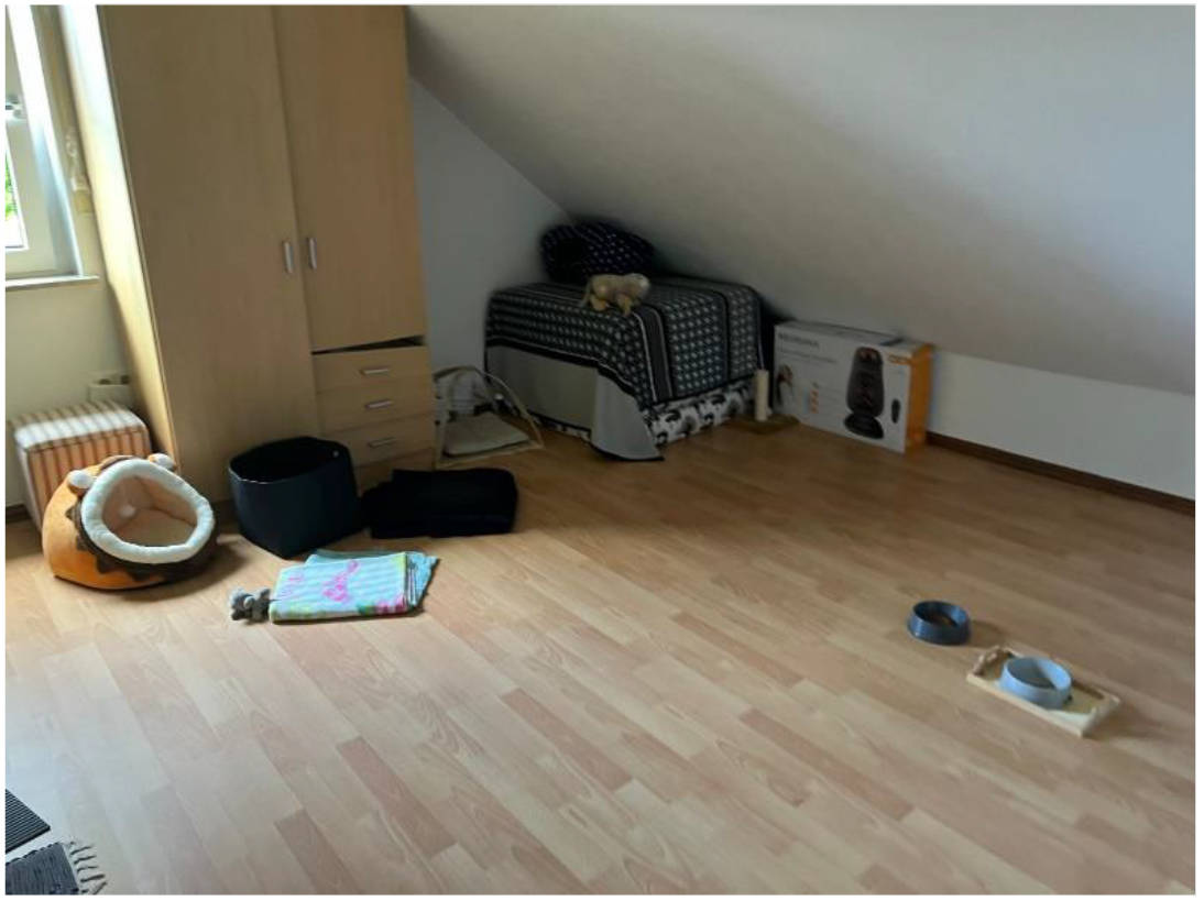 nordrheinwestpfalen 0068 K 0021/2023 Wiesenstraße 17 a, 51643 Gummersbach 11